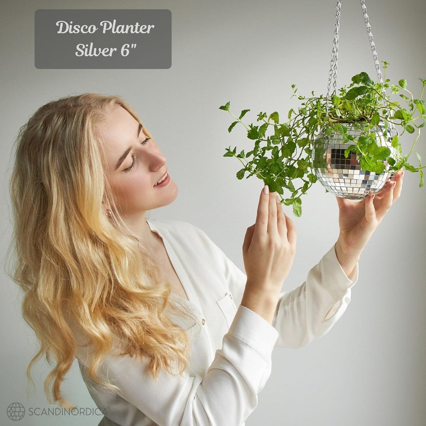 Disco Ball Planter – Value Package: Mirror Disco Planter with Chain, Macrame Hanger and Acrylic Stand for Desk, Includes Self Watering Insert, Disco Ball Decor | 6 Inch Silver