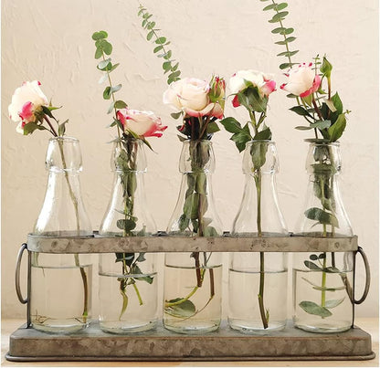 Rustic 5 Glass Bottles Bud Vase Set for Hydroponics Plants Home Garden Wedding Centerpieces Farmhouse Decor